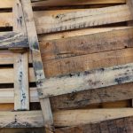 Poulaillers en palette pour élever vos poules : bonne ou mauvaise idée ?