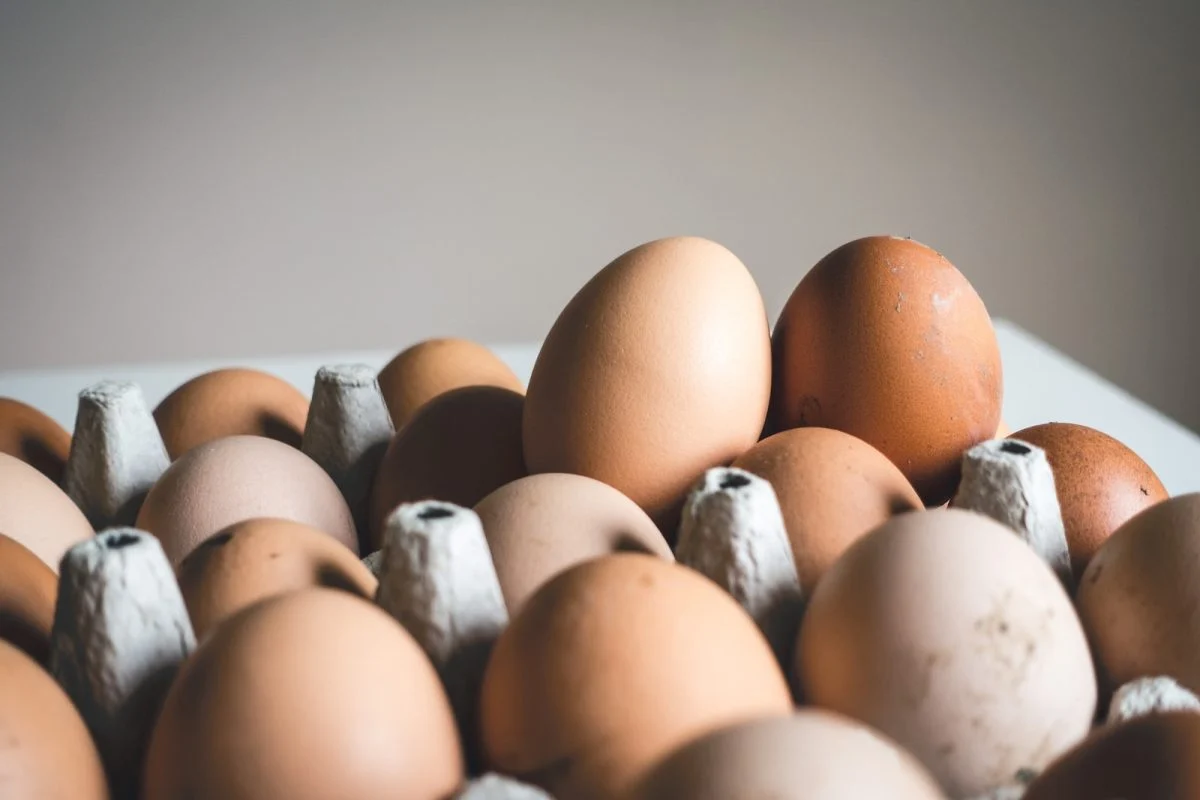Un oeuf de 200 grammes pondu par une poule fait le buzz sur TikTok