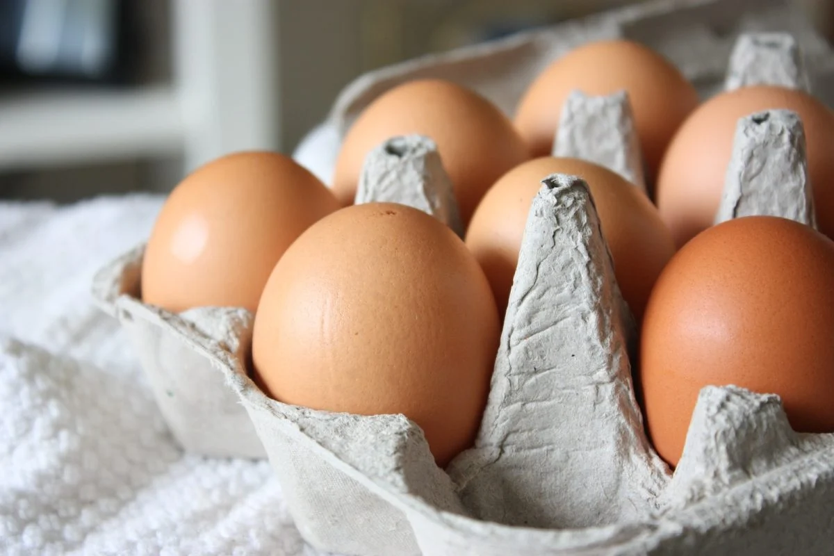 Comment choisir les meilleures poules pondeuses pour le printemps : découvrez nos conseils d&rsquo;expert en élevage de poules depuis plus de 30 ans.