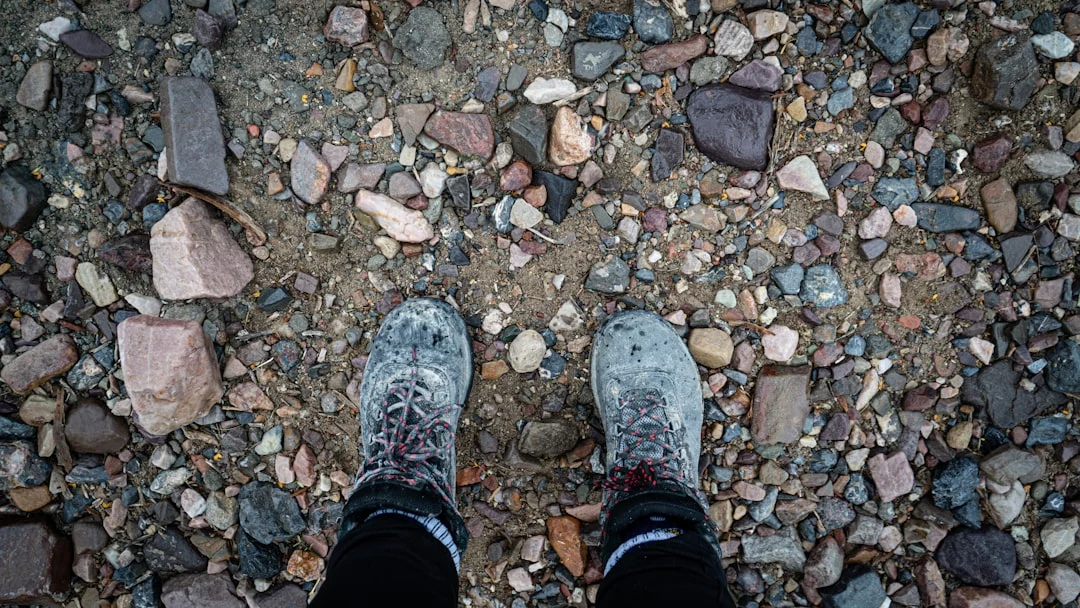 Peut-on mettre du gravier dans un poulailler ? Avantages et inconvénients détaillés