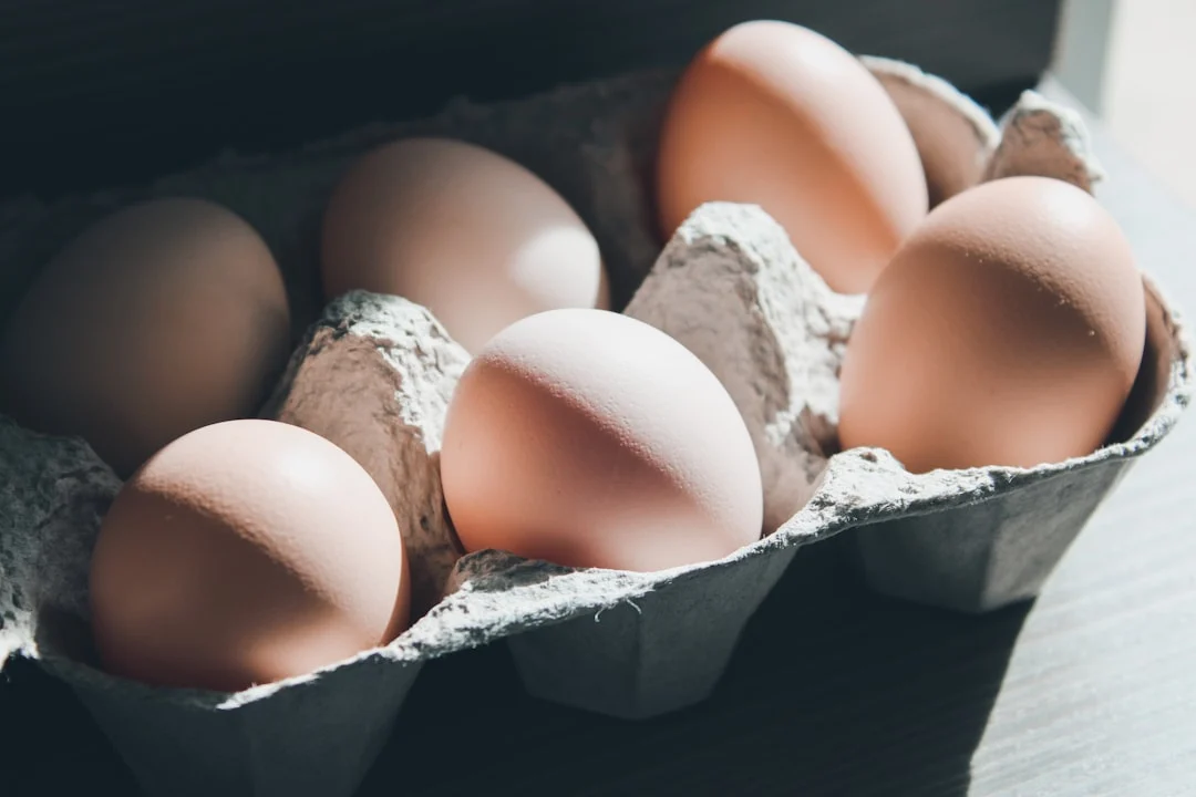 La révolution silencieuse dans vos œufs : ce que les éleveurs de poules nous cachaient