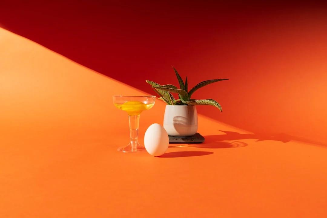 Révélation nutritionnelle : ce que vous donnez à vos poules transforme radicalement vos œufs
